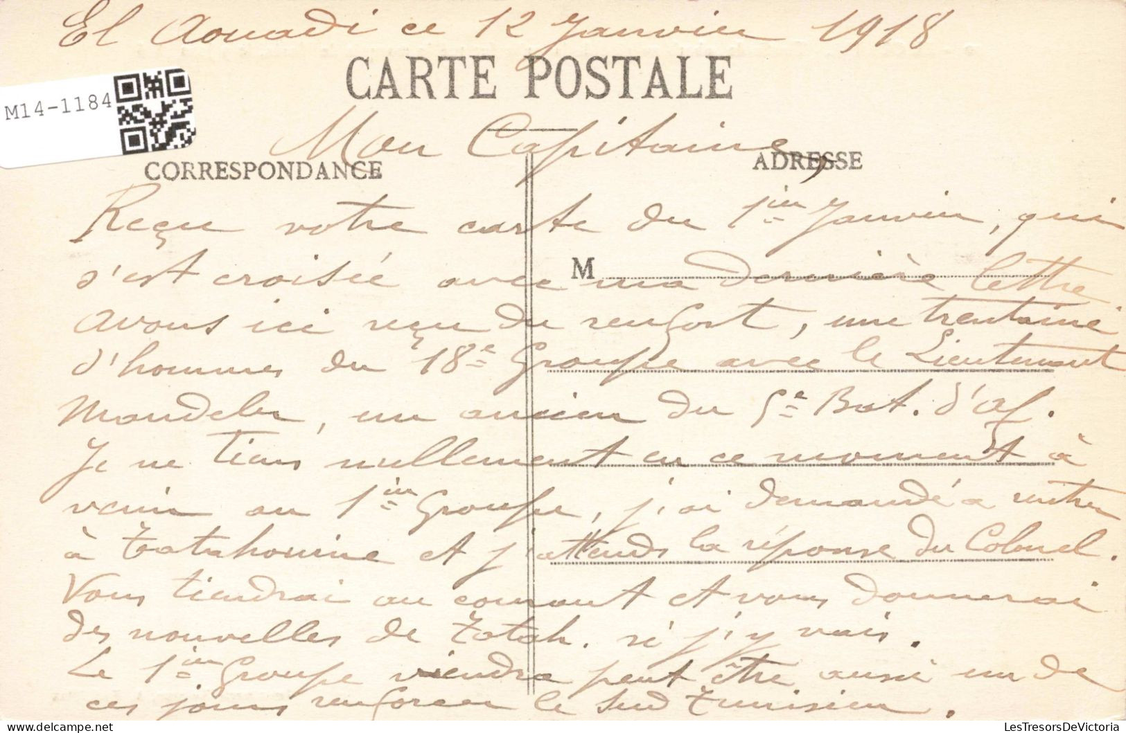 MAROC - El Ouatia - Touffe De Soboth - Carte Postale Ancienne - Sonstige & Ohne Zuordnung