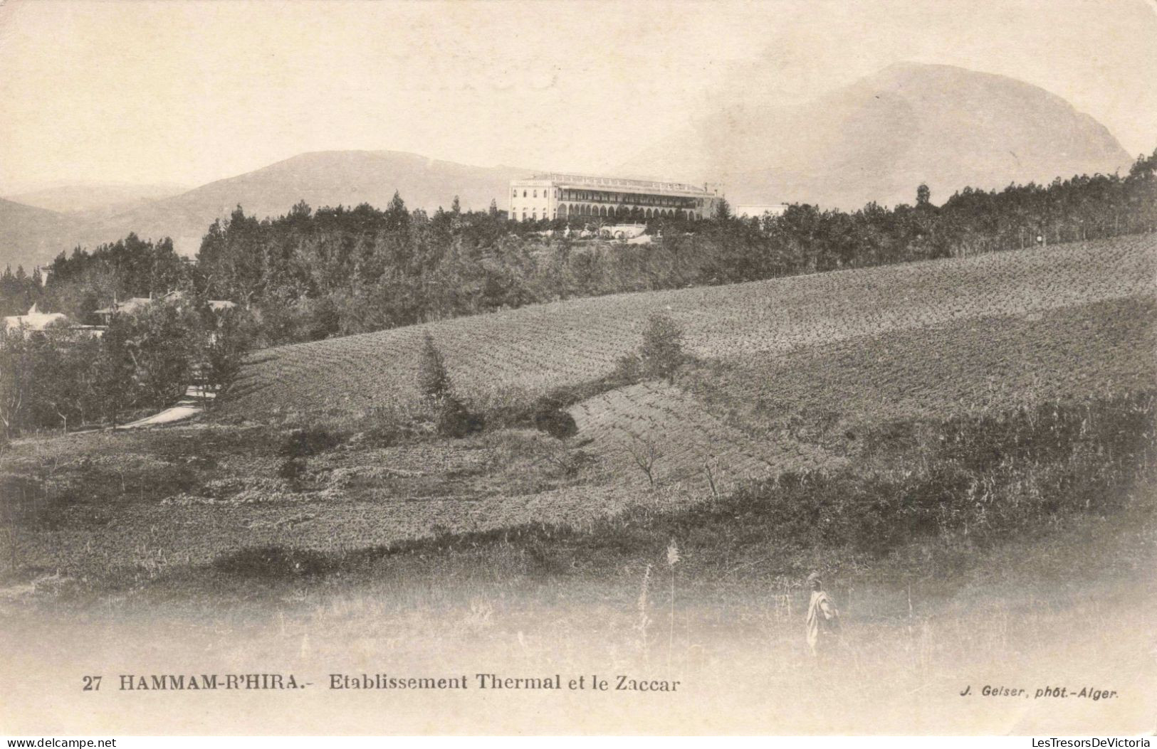 ALGÉRIE - Hammam-rhira - Etablissement Thermal Et Le Zaccar  - Carte Postale Ancienne - Autres & Non Classés