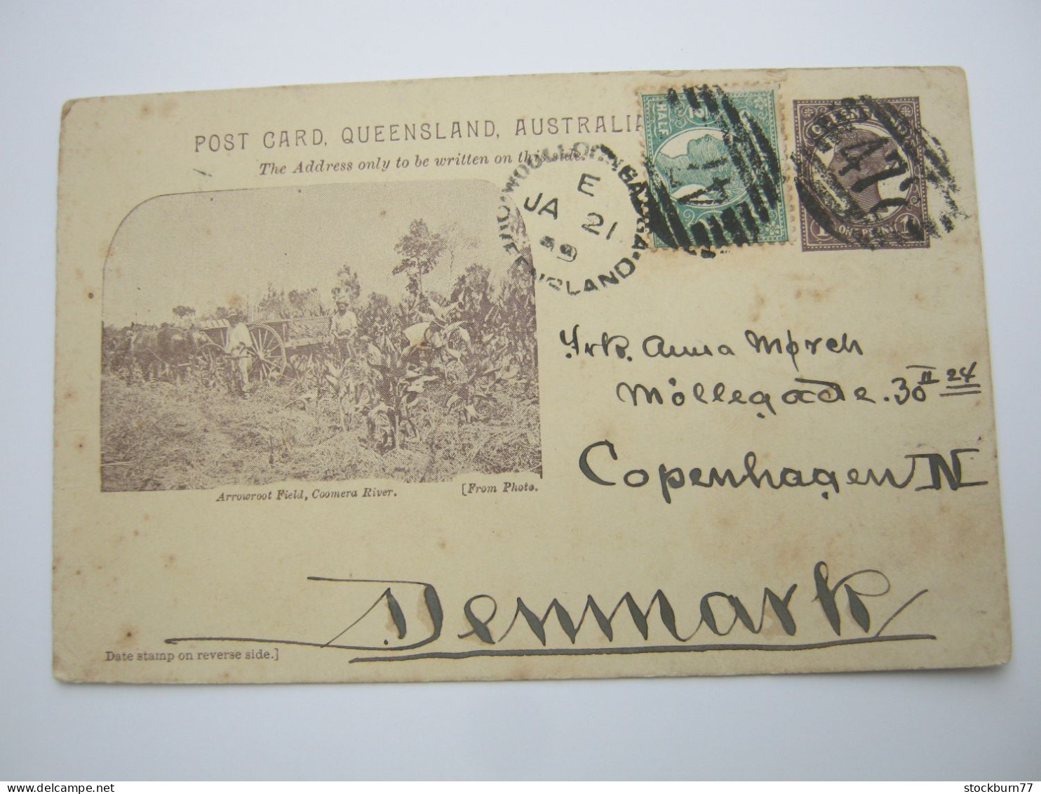 QUEENSLAND , 1899 , Card From Woolloon   Nach Dänemark - Storia Postale