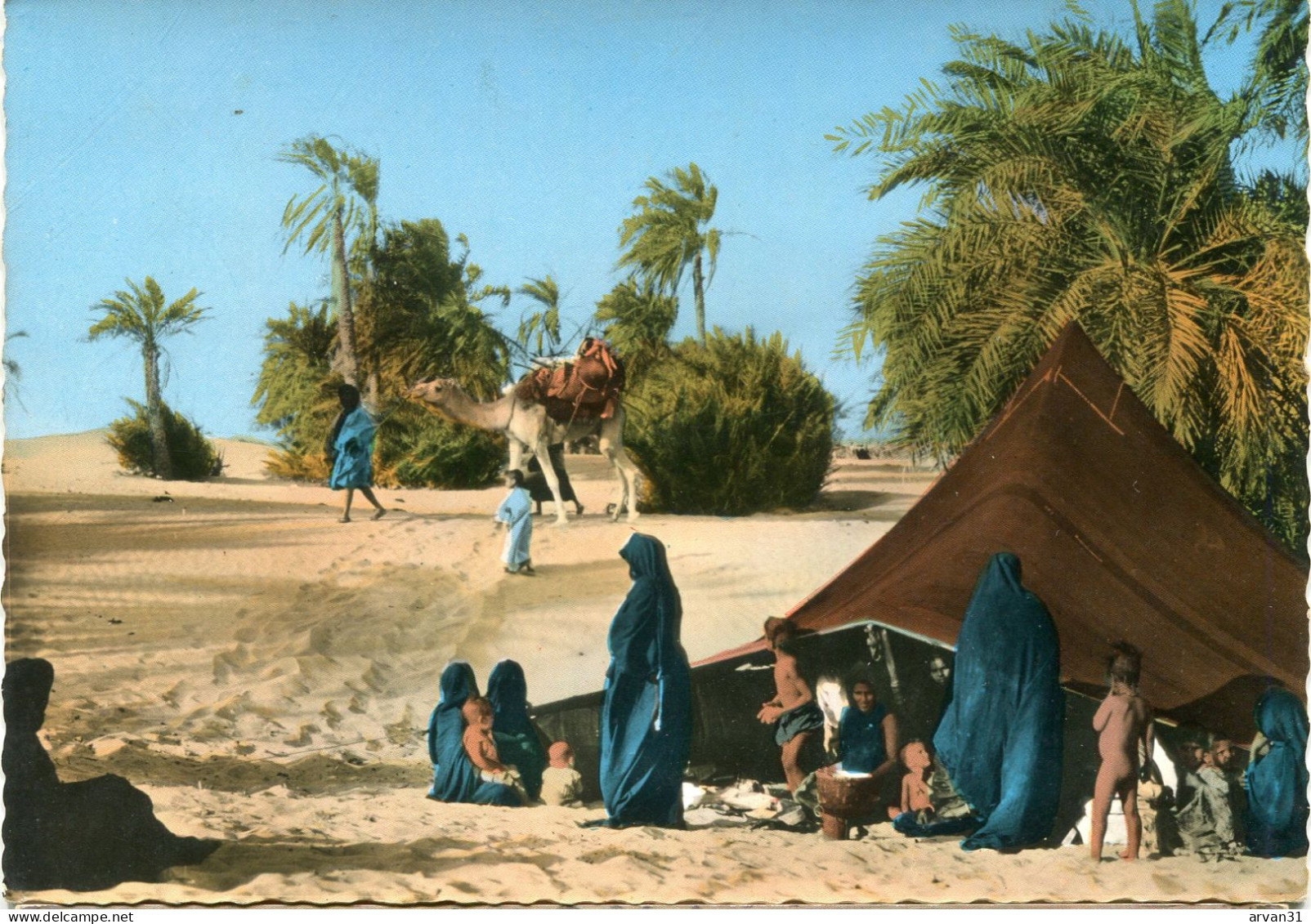 MAURITANIE - CAMPEMENT Dans L' OASIS - - Mauritanië