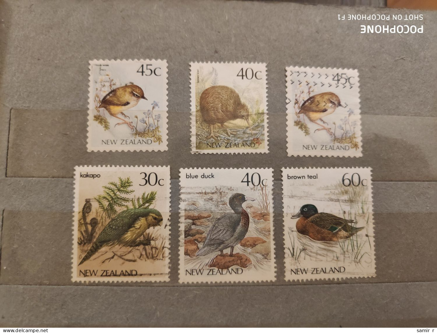 New Zealand	Birds (F46) - Usati