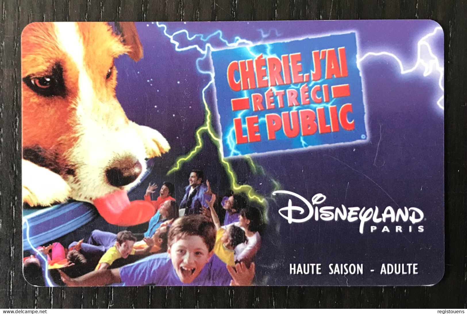 Passeport Disneyland Chérie, J' Ai Rétréci Le Public - Disney