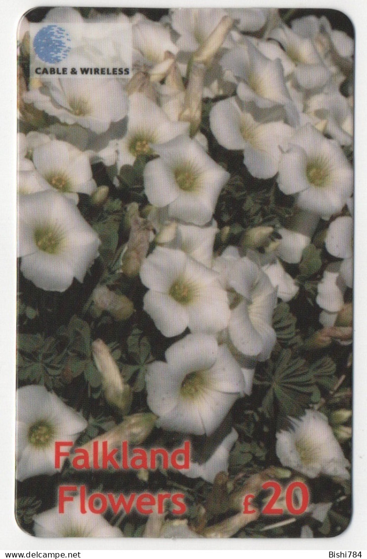 Falkland Islands - Scurvy Grass - Falkland