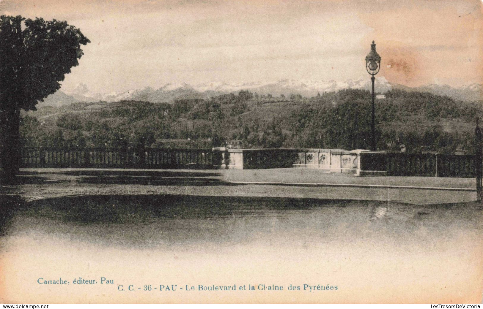 FRANCE - Pau - Le Boulevard Et La Chaine Des Pyrénées - Carte Postale  Ancienne - Pau