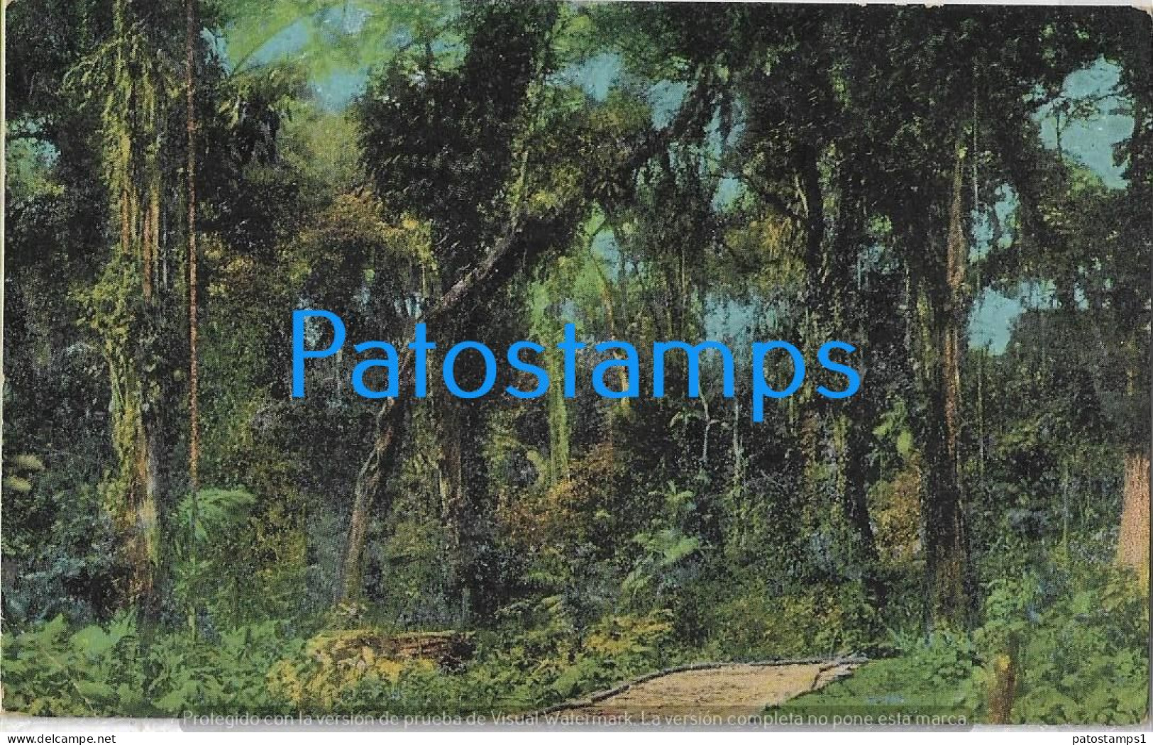 215586 COSTA RICA TROPICAL JUNGLE VIEW PARTIAL POSTAL POSTCARD - Costa Rica