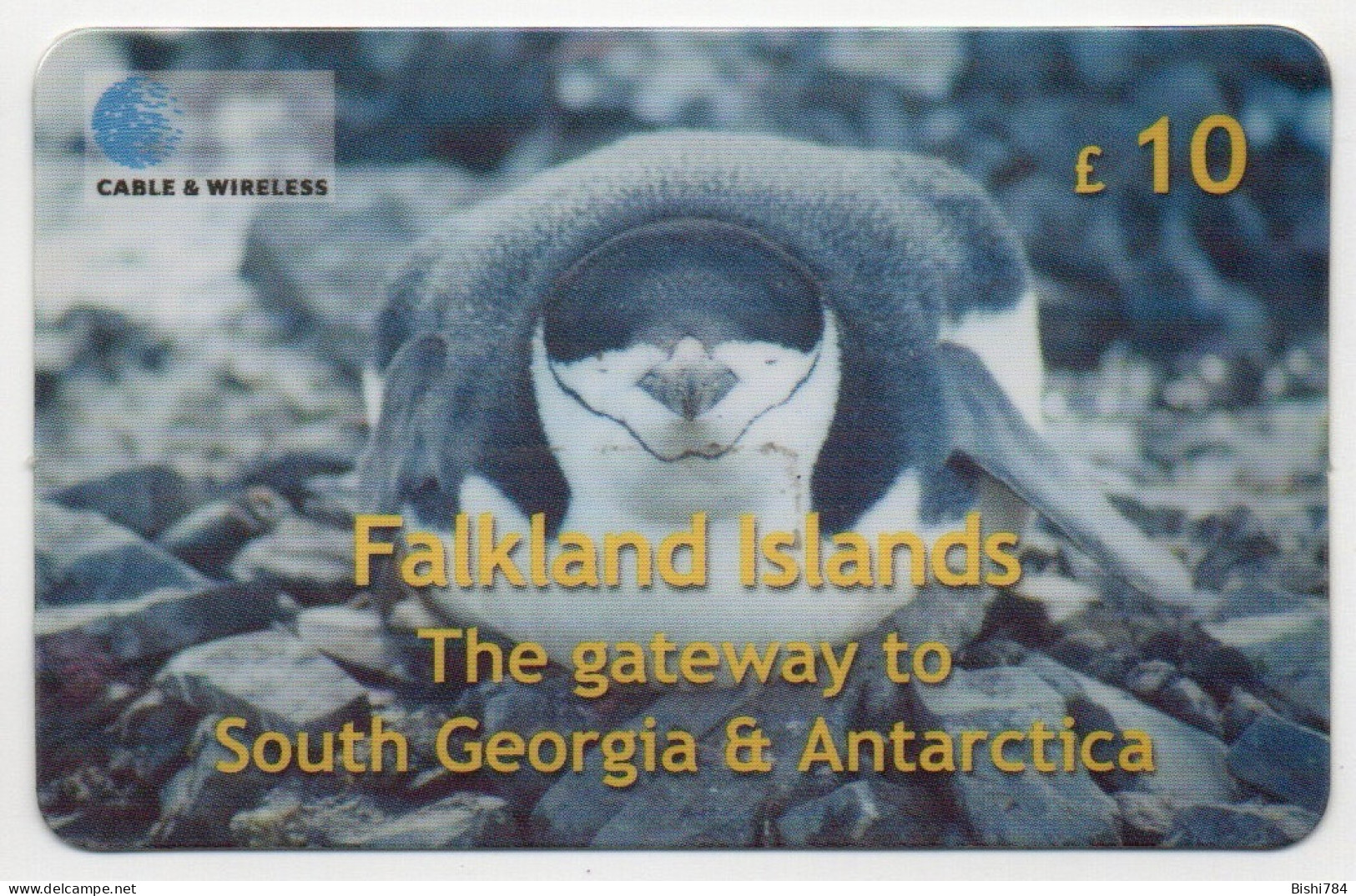 Falkland Islands - Chinstrap Penguin, Antarctica - Falklandeilanden