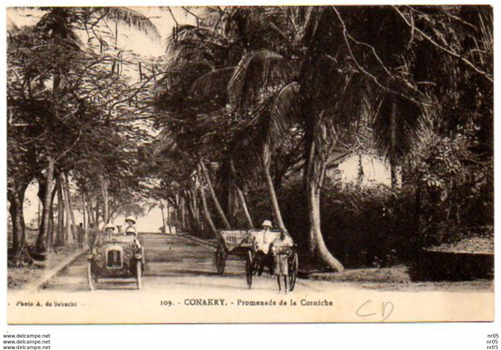 CONAKRY ( Guinee Francaise - Afrique )  - Promenade De La Corniche - Guinée Française