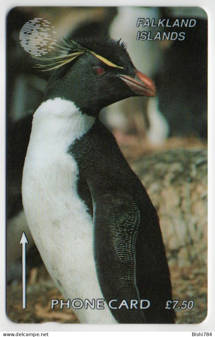 Falkland Islands - Rockhopper Penguin - 184CFKA - Falkland