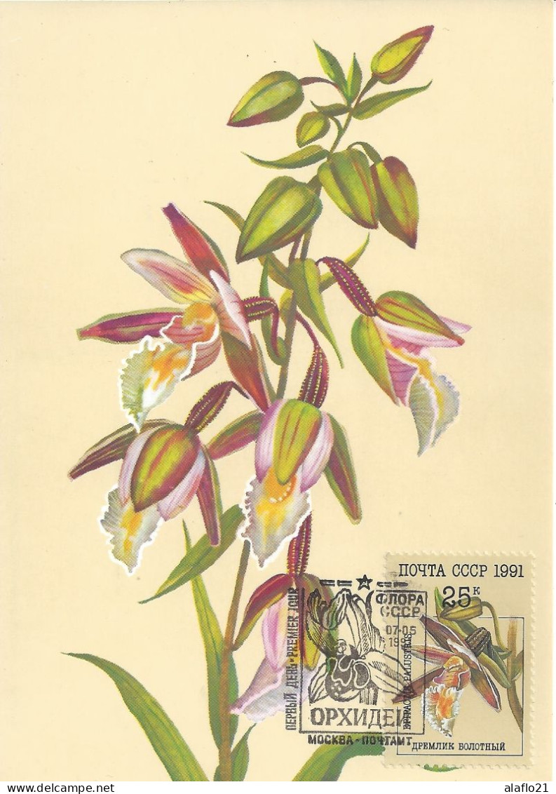 RUSSIE - 5 CARTES MAXIMUM 1er JOUR - ORCHIDEES - 2 SCANS - Cartoline Maximum