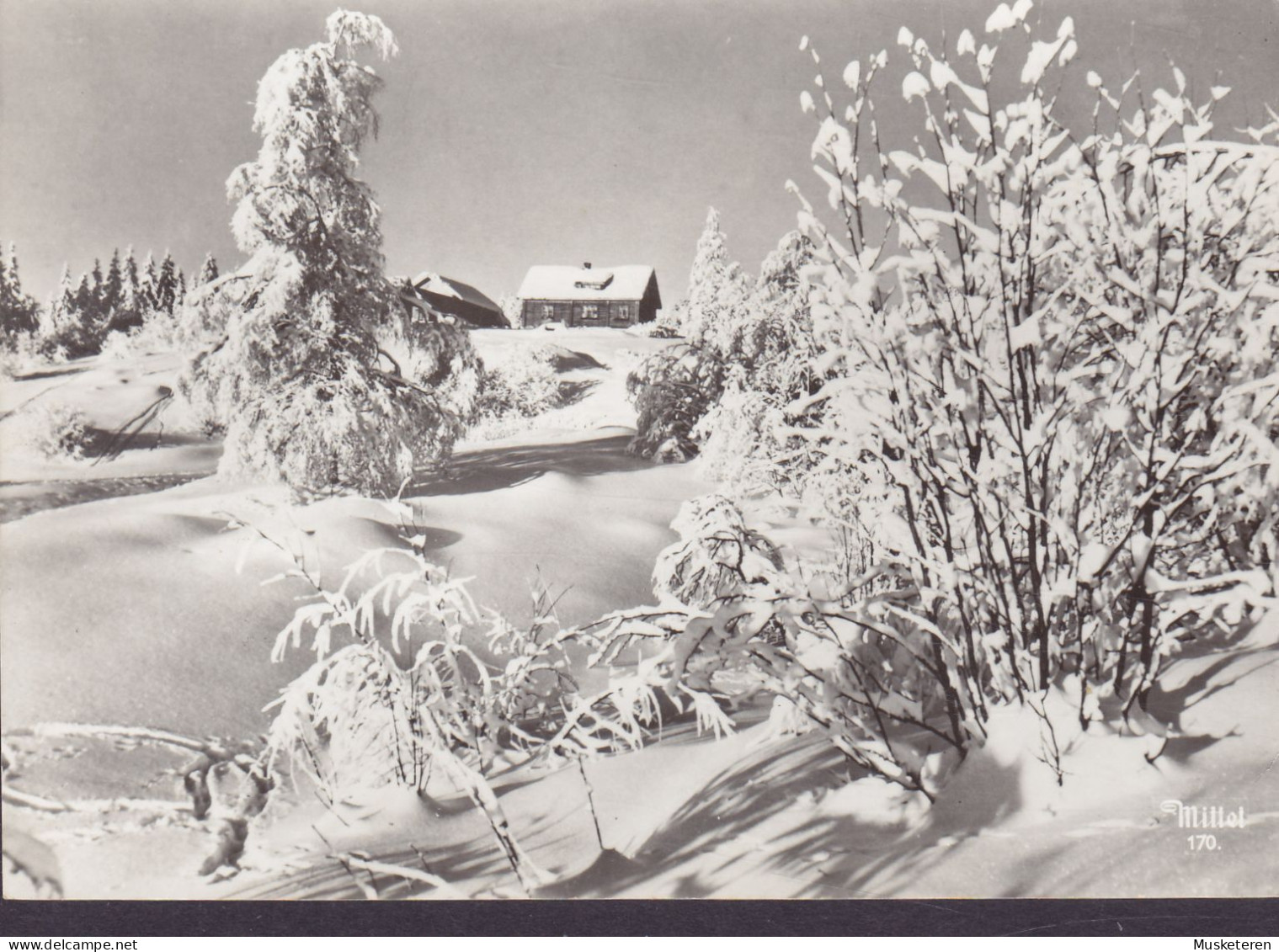 Norway PPC Vinter I Norge Winter In Norway Mittet 170. ÅNDALSNESRUTA 1956 REERSØ Pr. Gørlev Denmark Echte Real Photo - Storia Postale