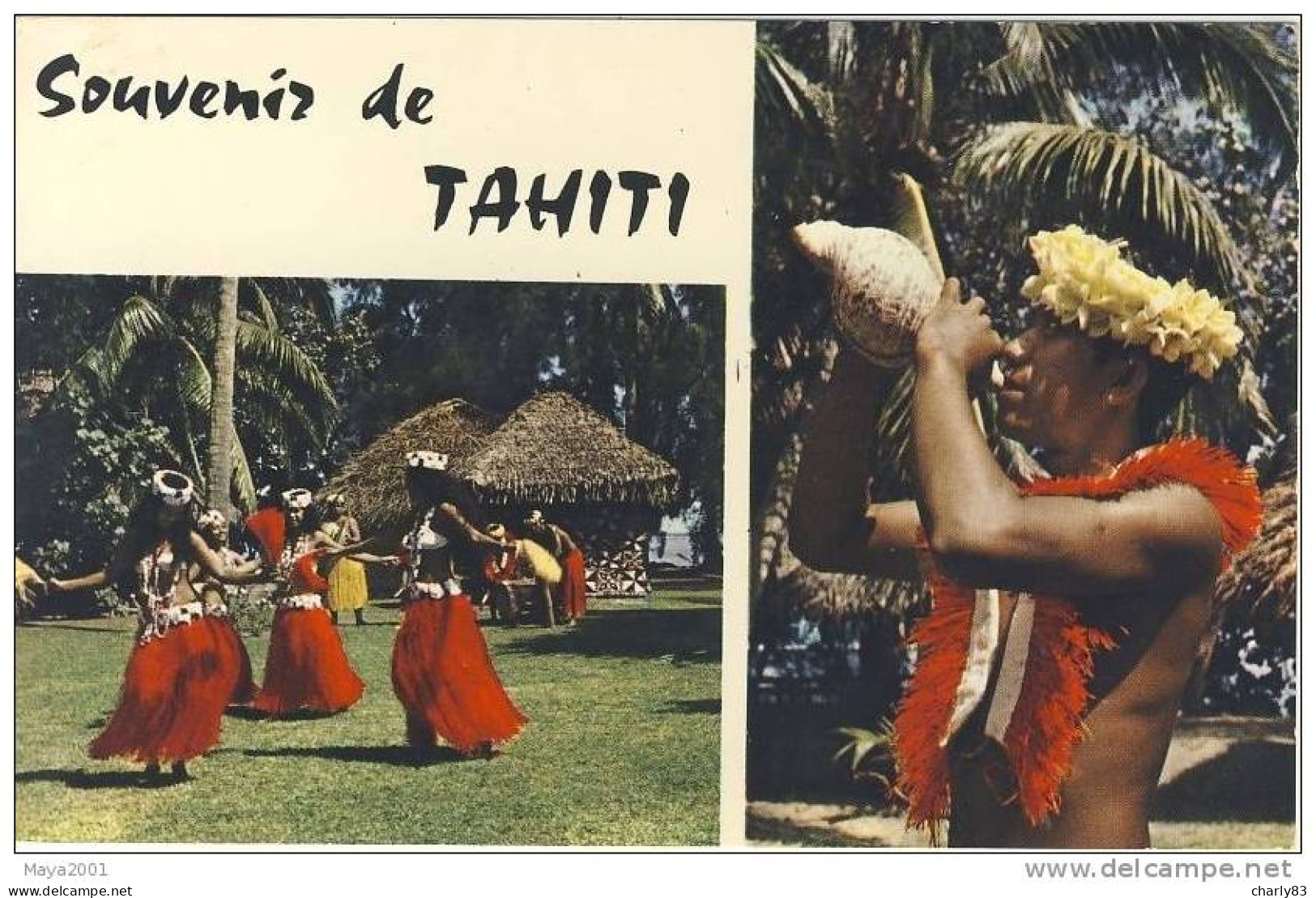 TAHITI - SOUVENIR  N101 - Tahiti