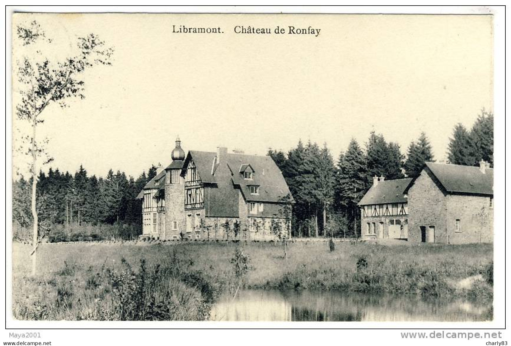 LIBRAMONT- CHATEAU  DE  RONFAY  N21 - Libramont-Chevigny