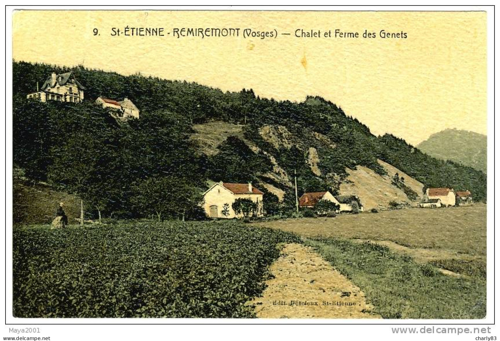 88- SAINT-ETINNE-DE  REMIREMONT- FERME  DES  GENETS  N529 - Saint Etienne De Remiremont