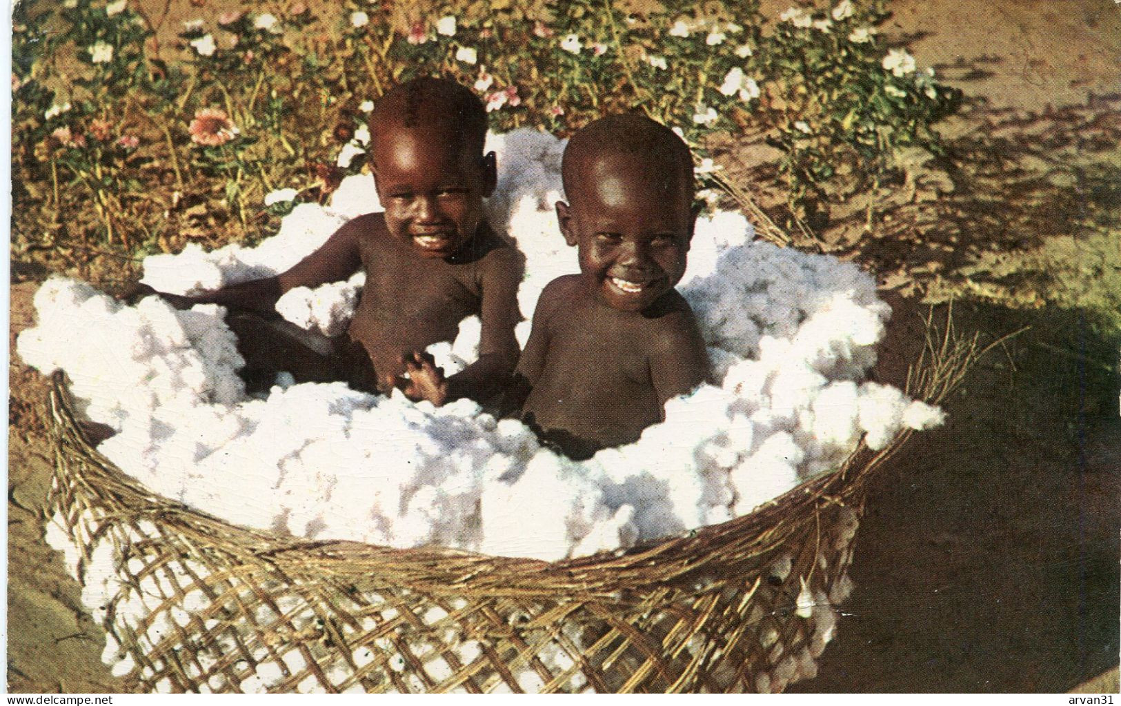 T  C  H  A  D    -   ENFANTS SARAS MADJINGAYES Dans Le COTON - - Chad