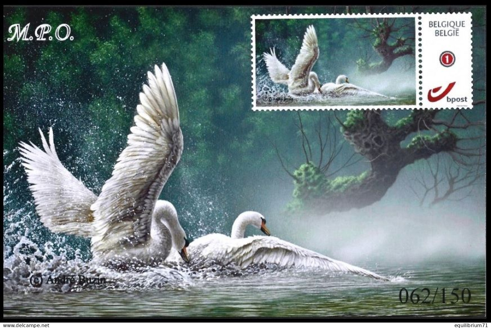 DUOSTAMP/MYSTAMP(**) - Cygne / Zwan / Schwan / Swan - Sur Carte Photo/Op Fotokaart - NUMÉROTÉ/GENUMERD - MPO - BUZIN - Briefe U. Dokumente