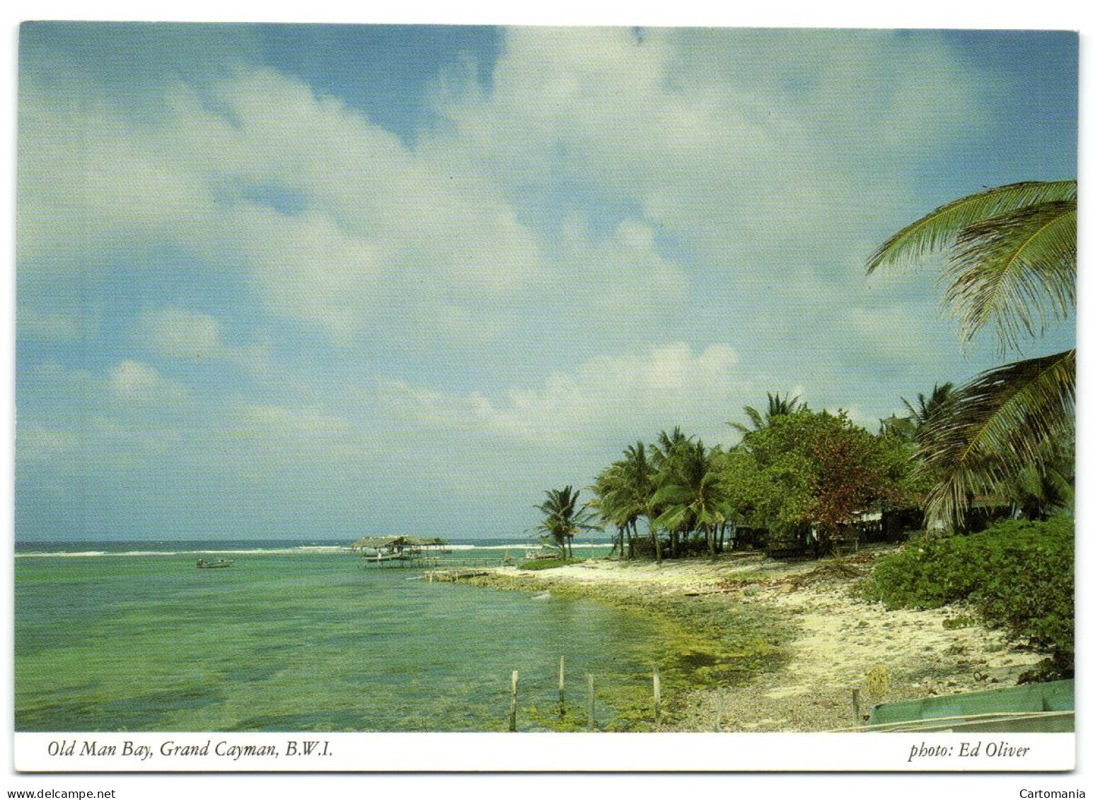 Old Man Bay - Grand Cayman B.W.I. - Caïman (Iles)