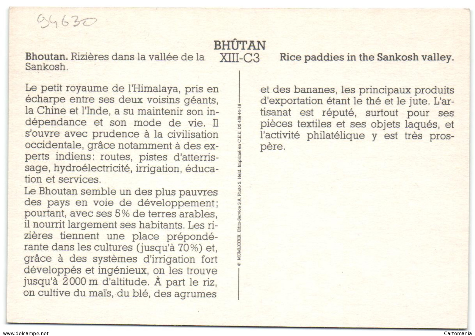 Bhûtan - Bhoutan - Rizières Dans La Valléée De La Sankosh - Bután