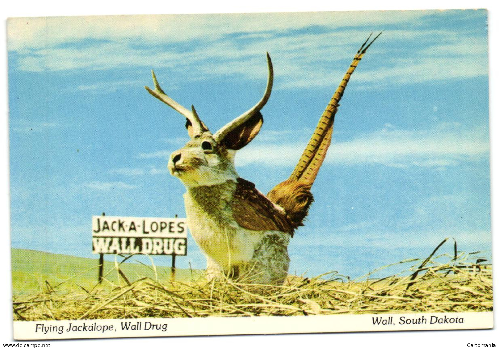 Flying Jackalope Wall Drug - Wall - South Dakota - Other & Unclassified