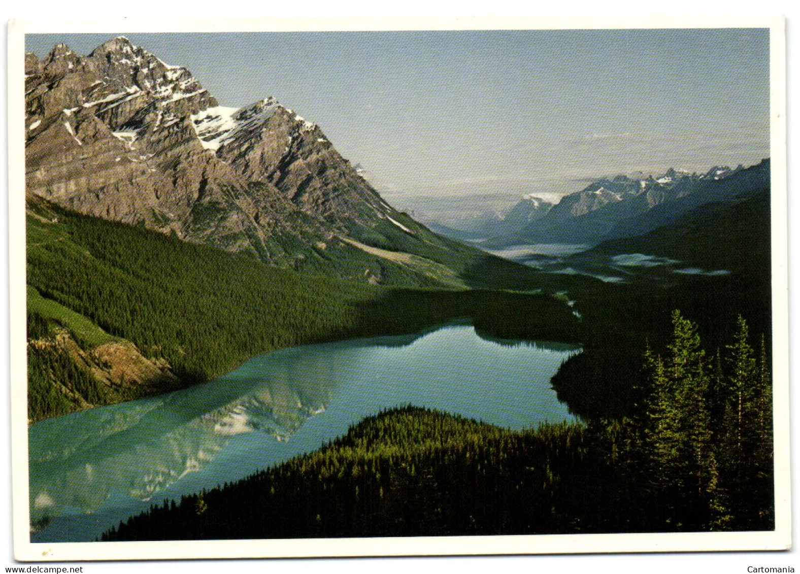 Peyto Lake - Banff National Park - Banff