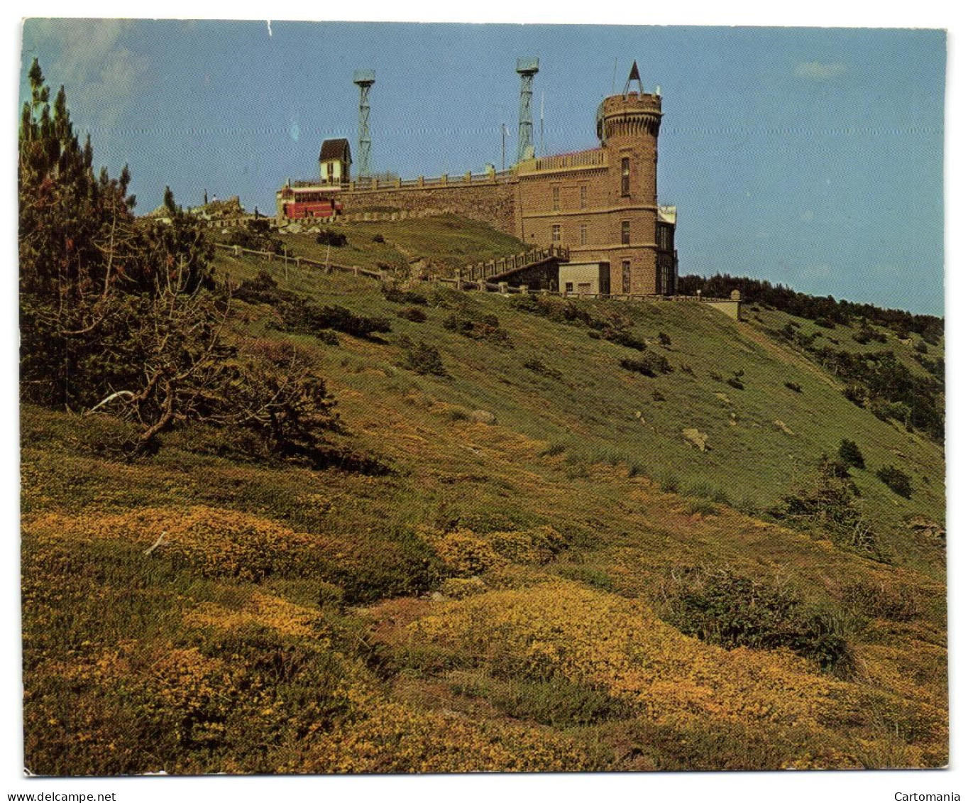 Le Mont Aigoual - Champ De Genets Et L'Observatoire - Valleraugue