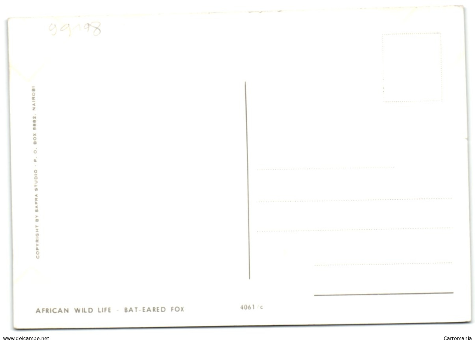 African Wild Life - Bat-Eared Fox - Kenya