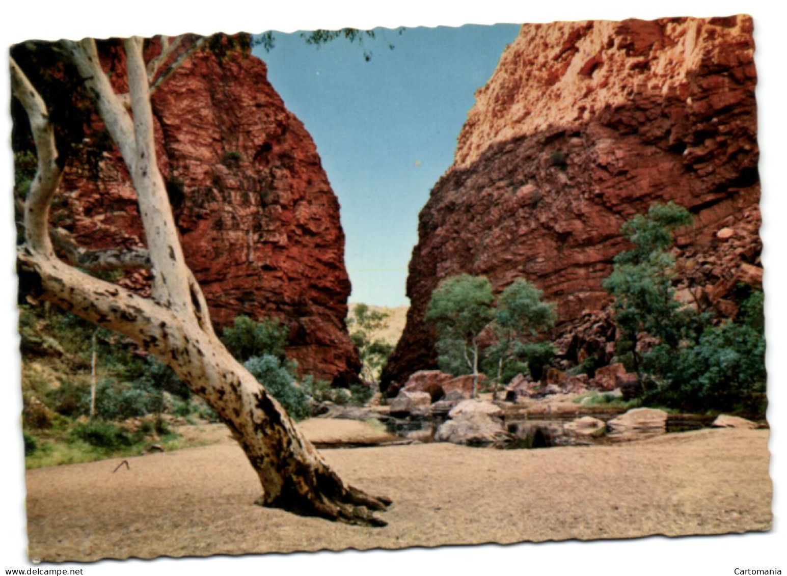 Alice Springs - Central Australia - Simpson's Gap A Short Distance West Of Alice Spirngs - Alice Springs