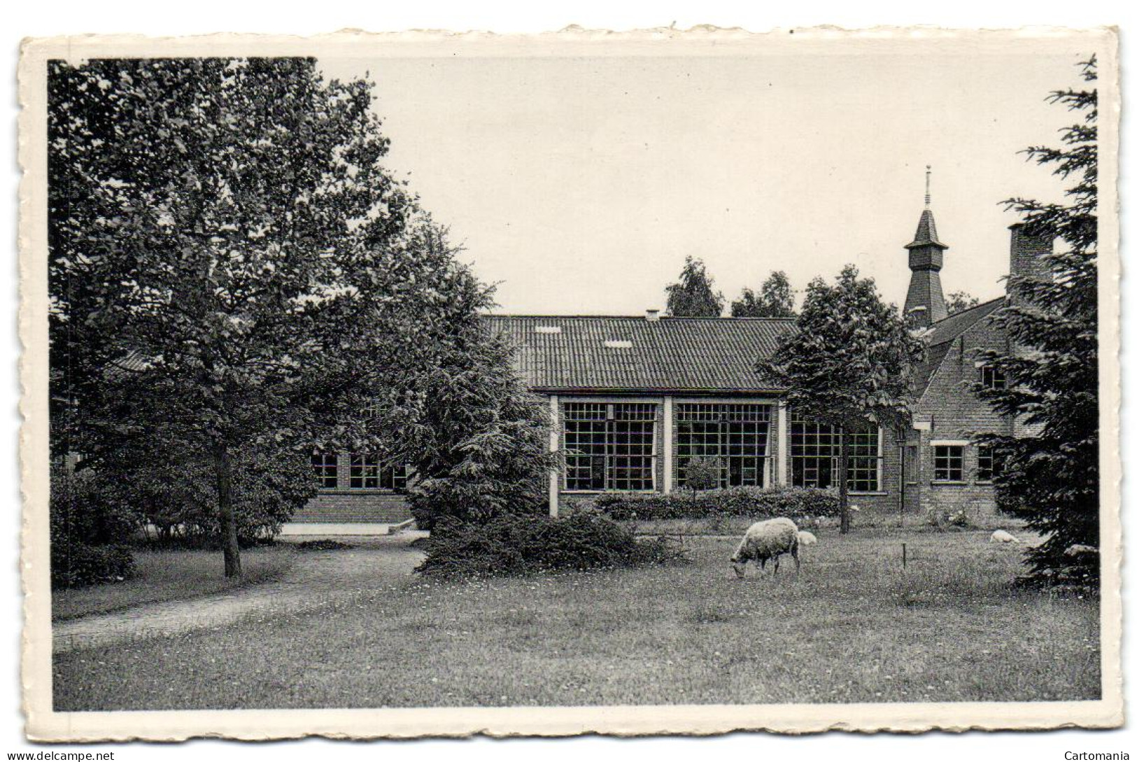 Biez (Grez-Doiceau) - Préventorium Léon Poriniot - Vue Sur Le Réfectoire - Graven