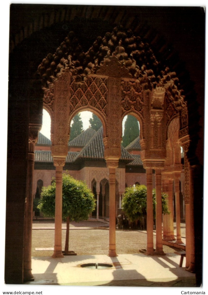 Granada - Alhambra - Patio De Los Leones - Granada