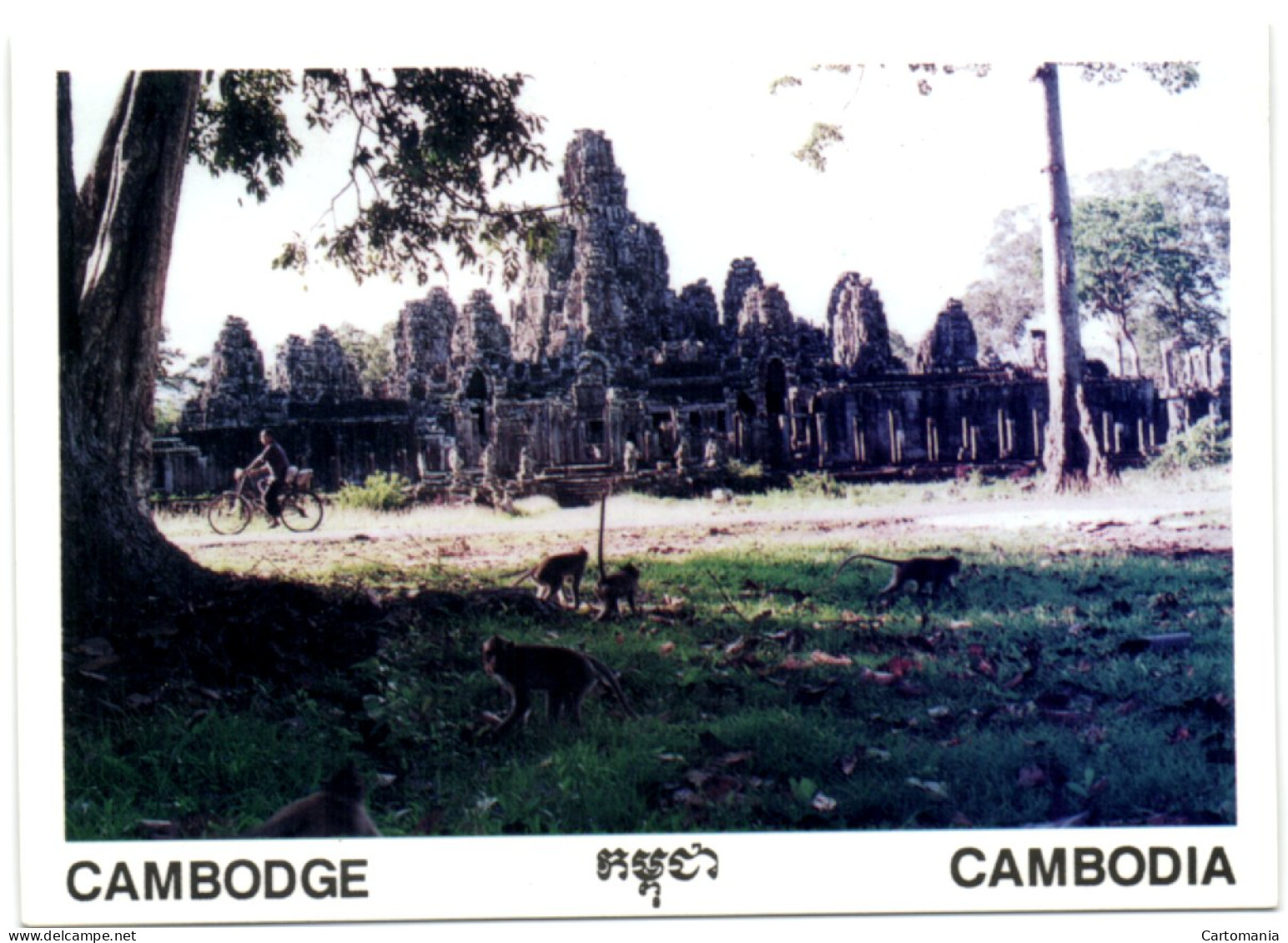 Cambodge - Cambodia - Siem Reap - Bayon - Cambodge