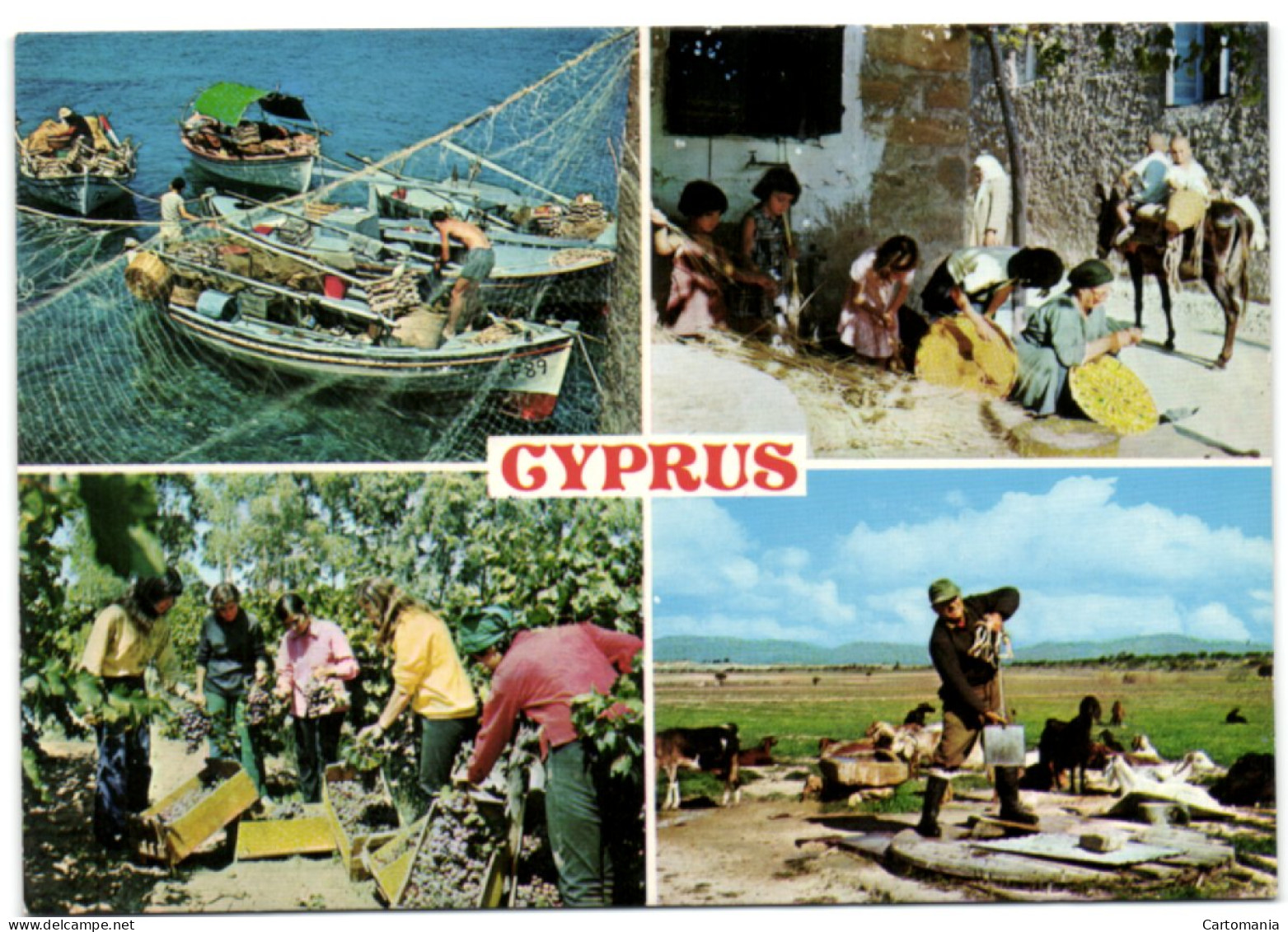 Cyprus - Chypre