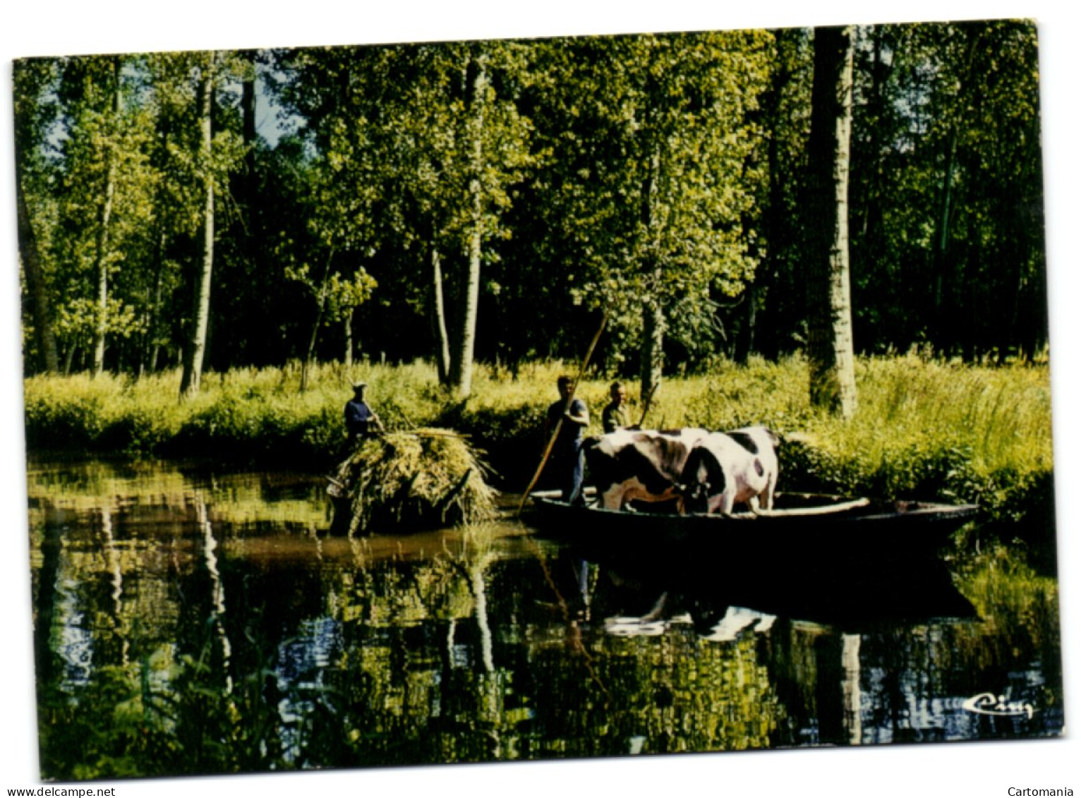 La Venise Verte - Marais Poitevin - Poitou-Charentes