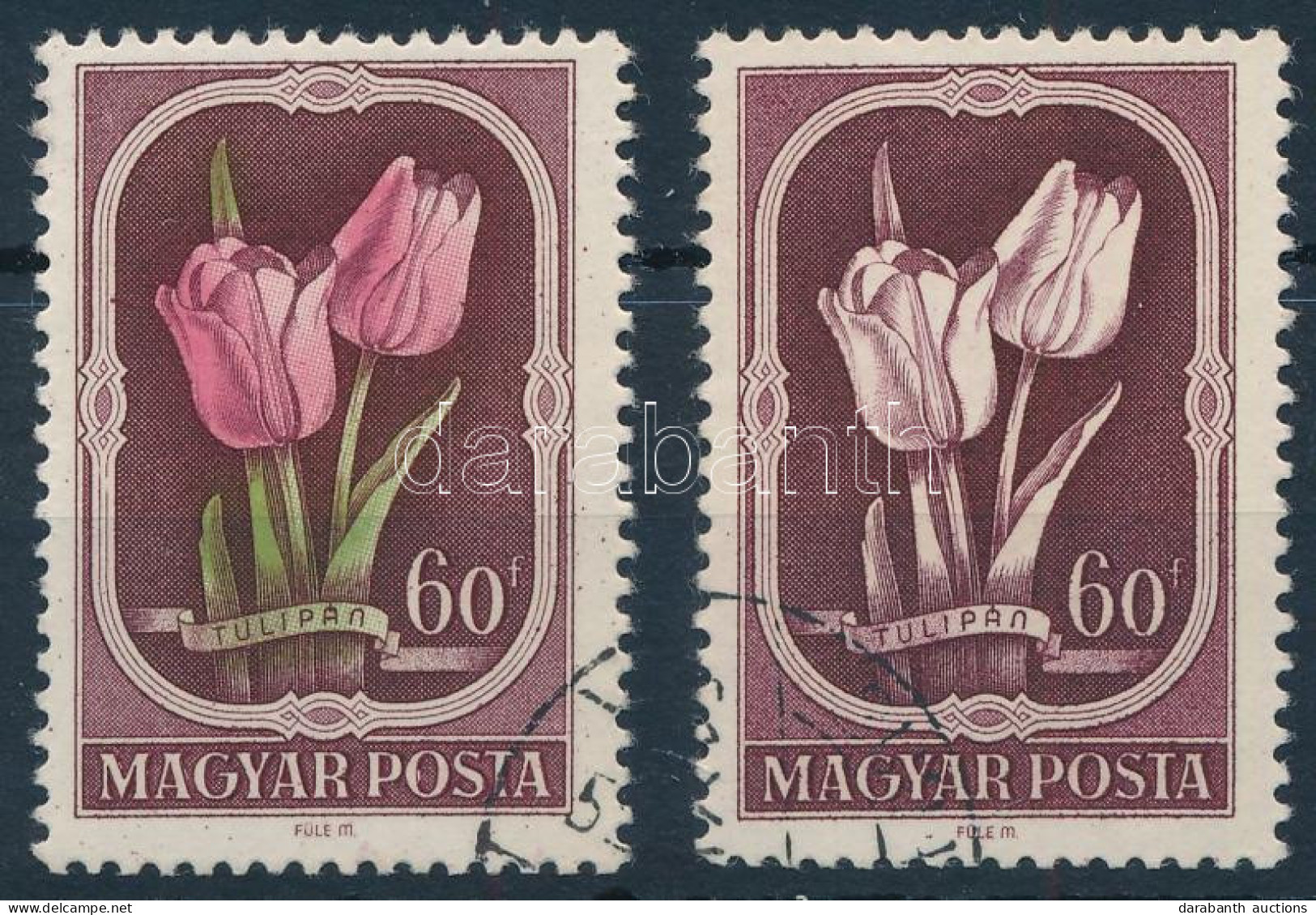 O 1951 Virág II. 60f Zöld és Rózsaszín Színyomat Nélkül + Támpéldány (70.000) / Mi 1210 Green And Pink Colour Omitted. C - Other & Unclassified