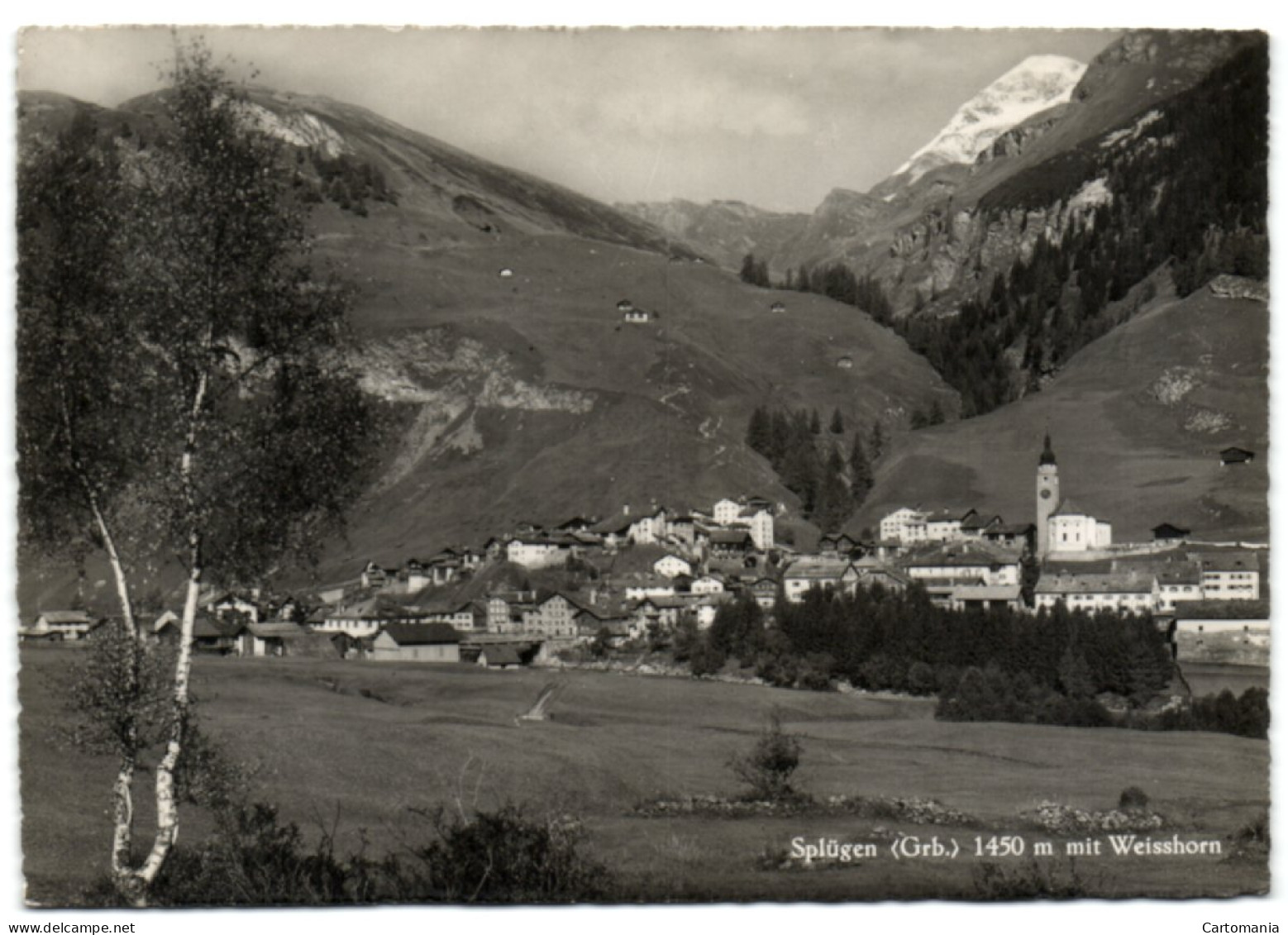 Splügen Mit Weisshorn - Splügen