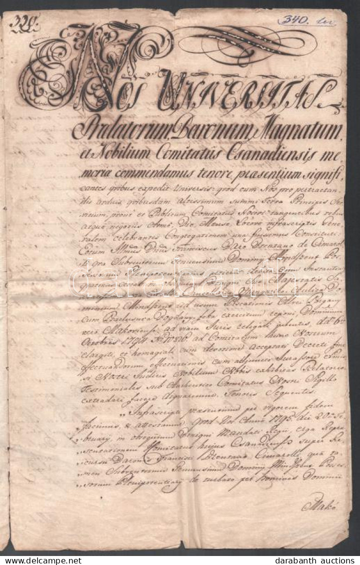 1795 Csanád Vármegye Határozata A Mindszenti Uradalom Porgány-ér és Bogdány-fok Halászati Joga ügyében, Latin Nyelven, P - Unclassified