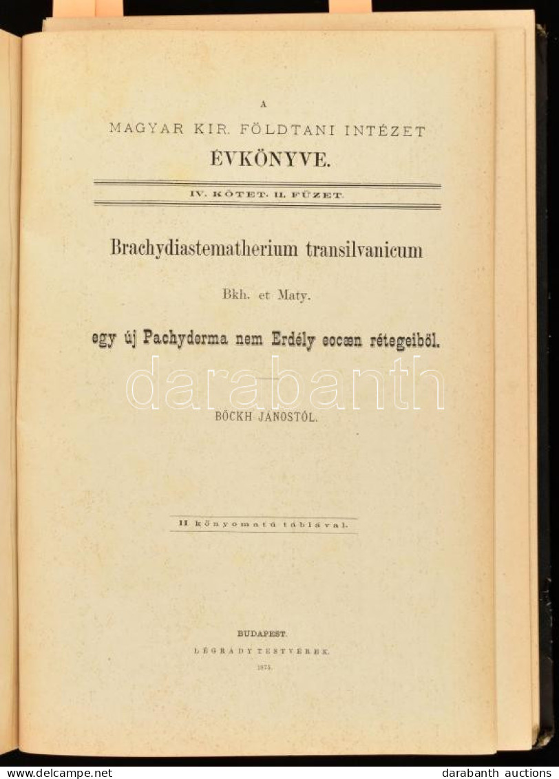 Kolligátum: A Magyar Kir. Földtani Intézet Évkönyve IV. Köt. 1-4. Füzetei (egy Kötetben): Hantken Miksa: A Clavulina Sza - Zonder Classificatie