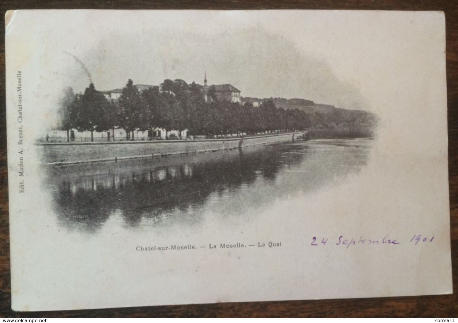 CPA CHATEL SUR MOSELLE 88 La Moselle, Le Quai 1901 - Chatel Sur Moselle