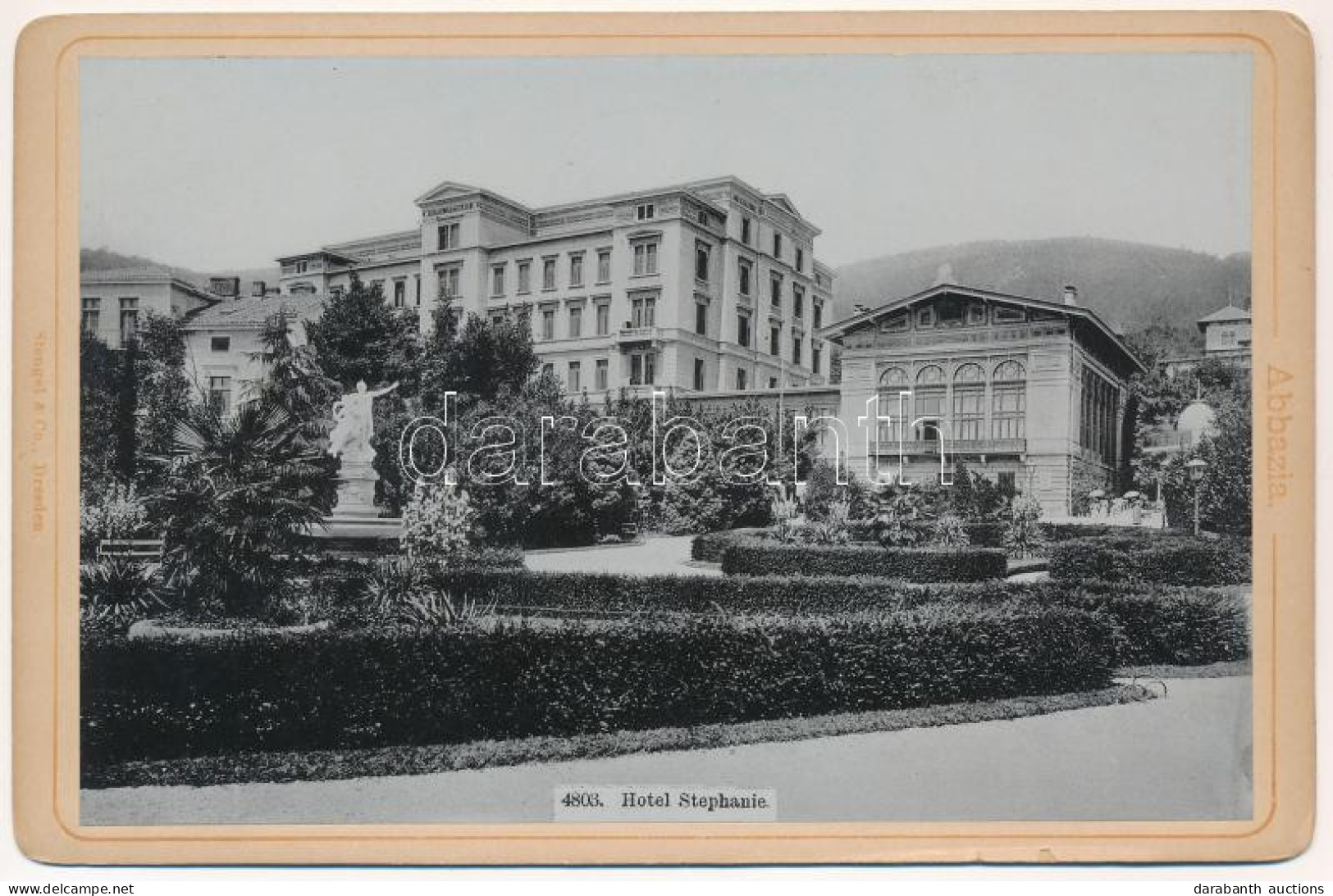 ** T2/T3 Abbazia, Opatija; Hotel Stephanie. Stengel & Co. Board Photo (16,5 X 10,7 Cm) (non PC) - Non Classés