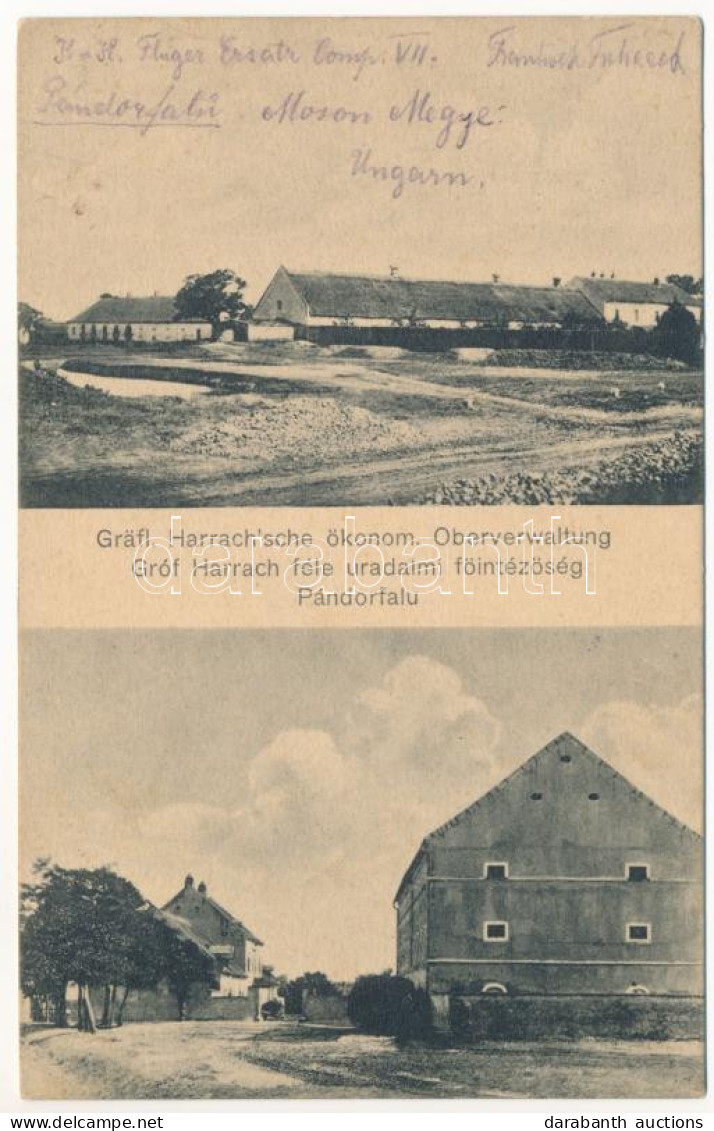 T2 1916 Pándorfalu, Parndorf; Gróf Harrach-féle Uradalmi Főintézőség / Gräfl. Harrachsche ökonom. Oberverwaltung / Count - Zonder Classificatie