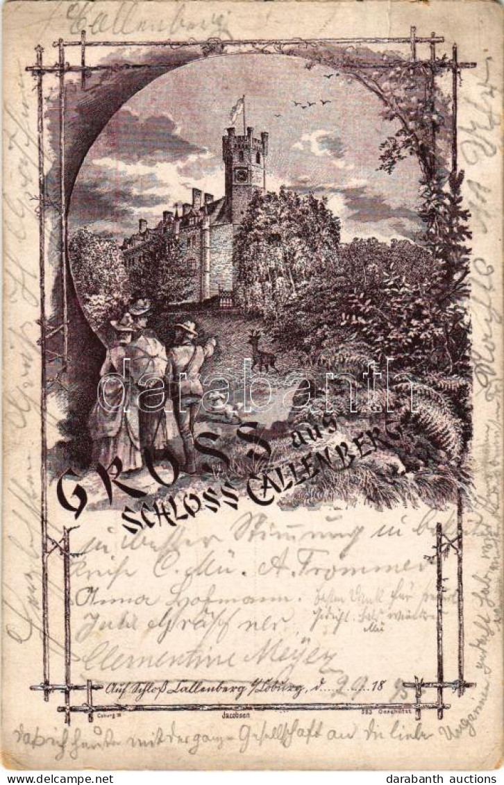 T3 1895 (Vorläufer) Coburg, Gruss Aus Schloss Callenberg / Castle. Art Nouveau, Floral (EB) - Ohne Zuordnung