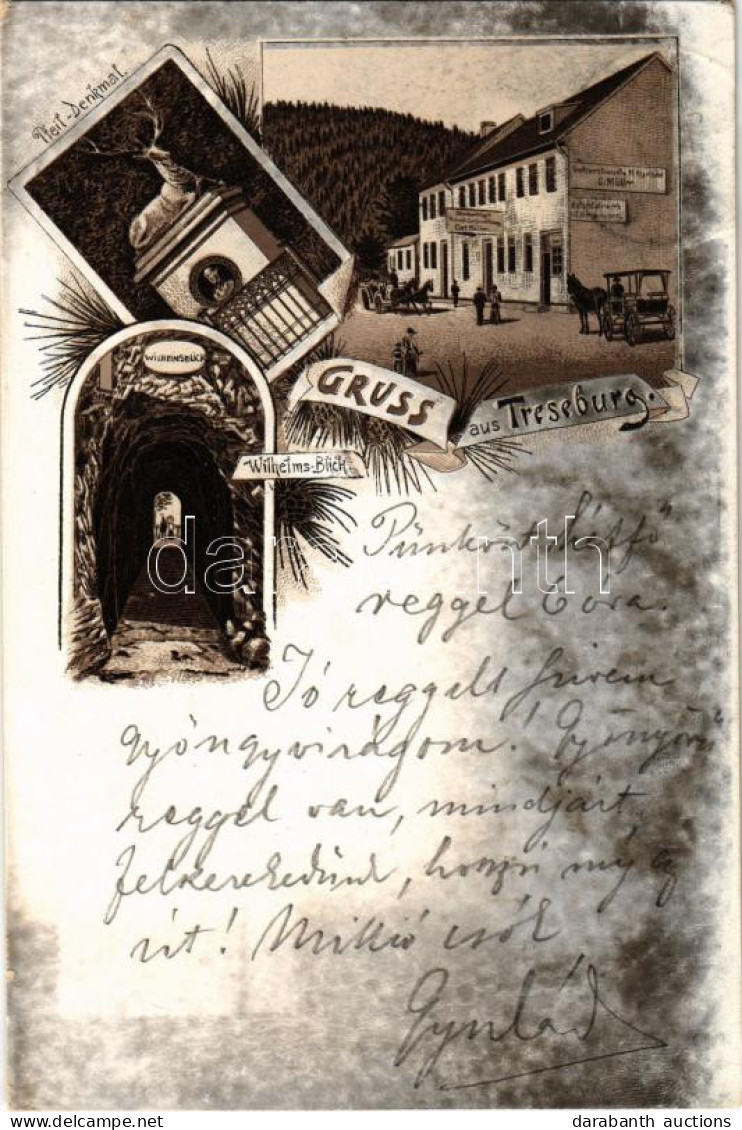 T2/T3 1894 (Vorläufer) Treseburg, Pfeil Denkmal, Wilhelms Blick, Gartenrestaurant Und Pt. Kegelbahn G. Müller / Monument - Unclassified