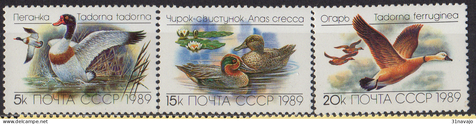 RUSSIE - Canards Et Oies - Ganzen