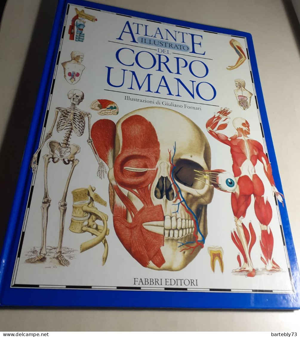 "Atlante Illustrato Del Corpo Umano" Di Steve Parker - Altri & Non Classificati