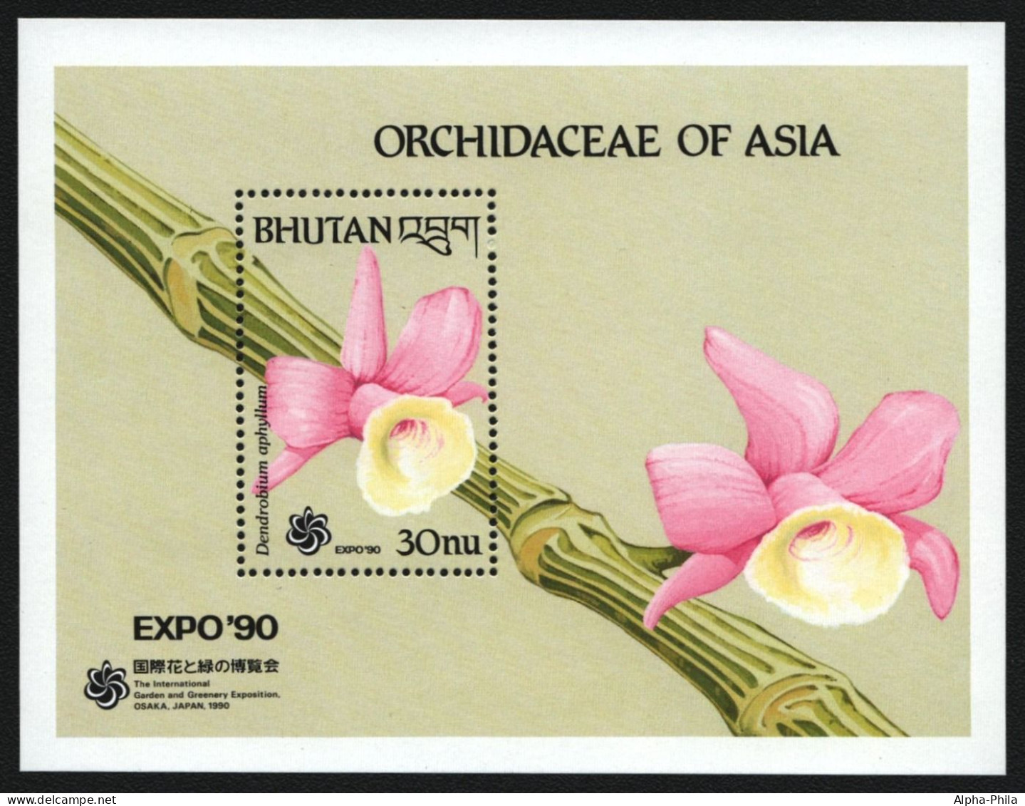 Bhutan 1990 - Mi-Nr. Block 251 ** - MNH - Orchideen / Orchids - Bhoutan