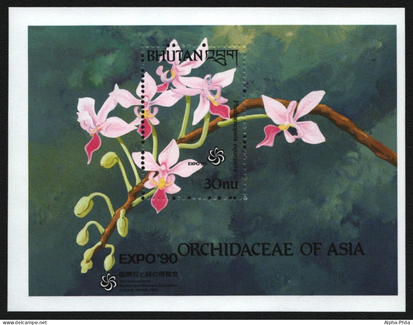 Bhutan 1990 - Mi-Nr. Block 250 ** - MNH - Orchideen / Orchids - Bhoutan