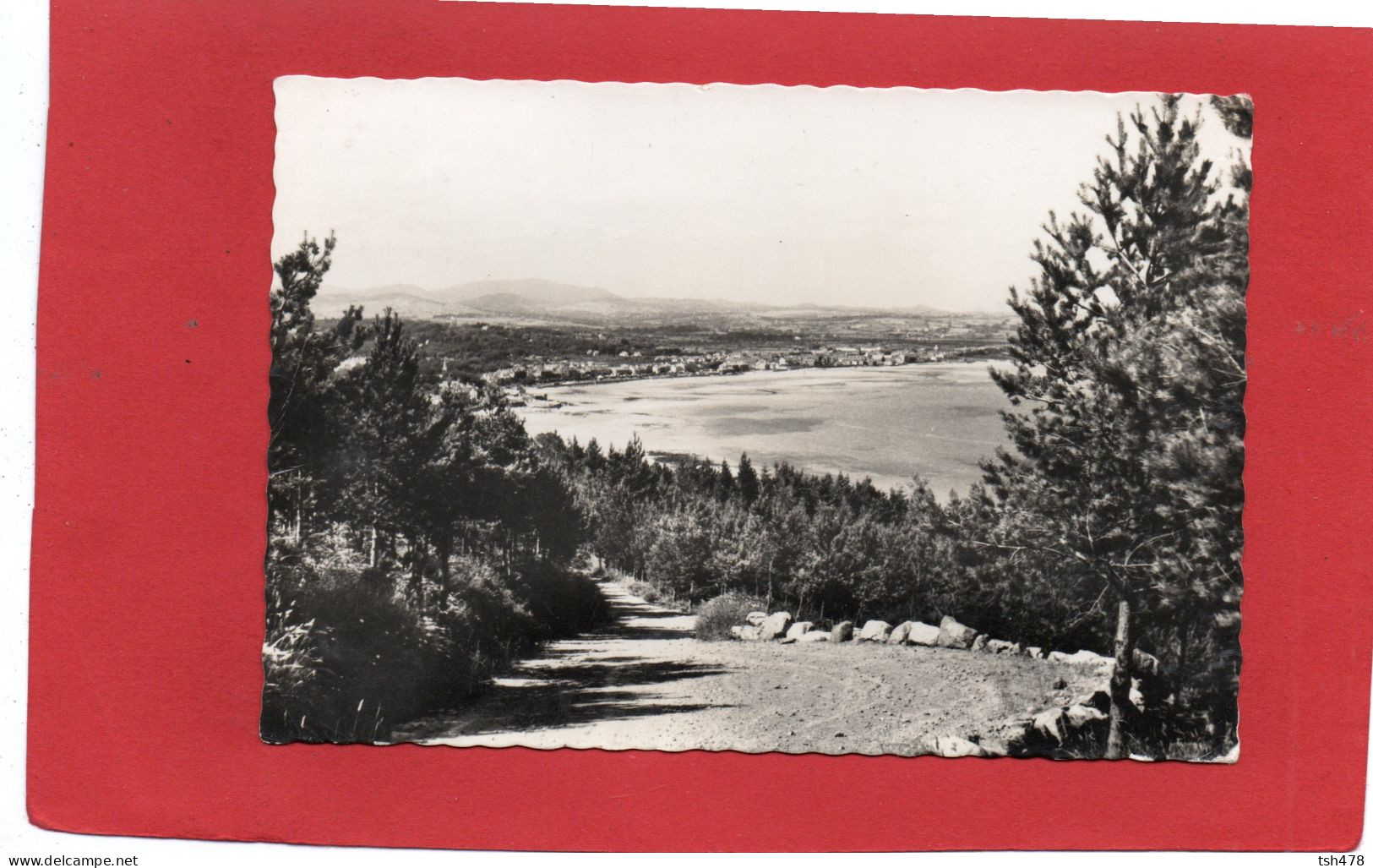 IRLANDE DU NORD---DOWN---Newcastle Co. Down, From Slopes Of Slieve Donard---voir 2 Scans - Down