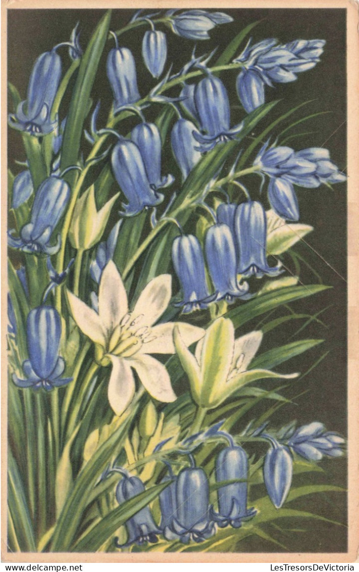 FLEURS - Endymion Et Ornithogale - Colorisé - Carte Postale Ancienne - Bloemen