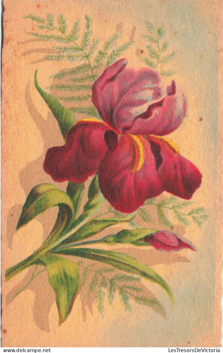 FLEURS - PLANTES - ARBRES - Fleurs - Colorisé - Carte Postale Ancienne - Blumen