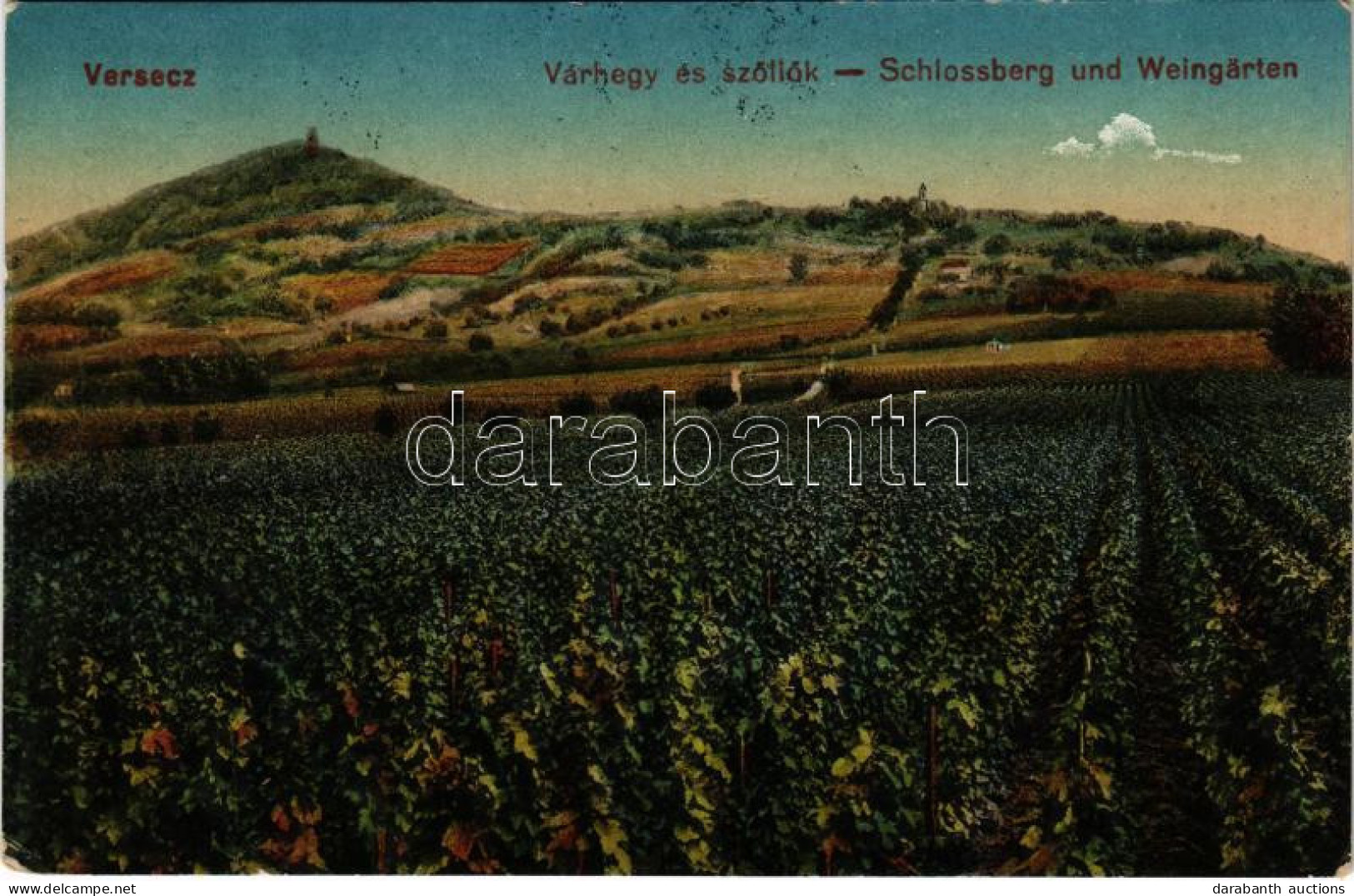 T2/T3 1917 Versec, Vrsac; Várhegy Szőlőkertekkel. Gábor Lajos Kiadása / Castle Hill, Vineyards, Villa - Non Classés