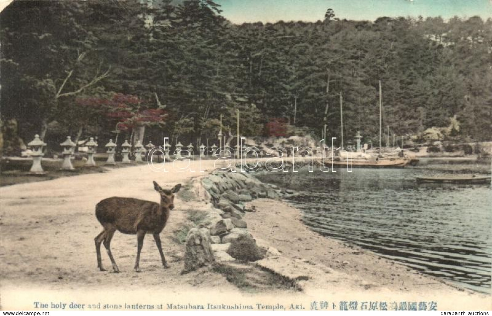 ** T2 Aki, Holy Deer And Stone Lanterns At Matsubara Itsukushima Temple - Non Classés