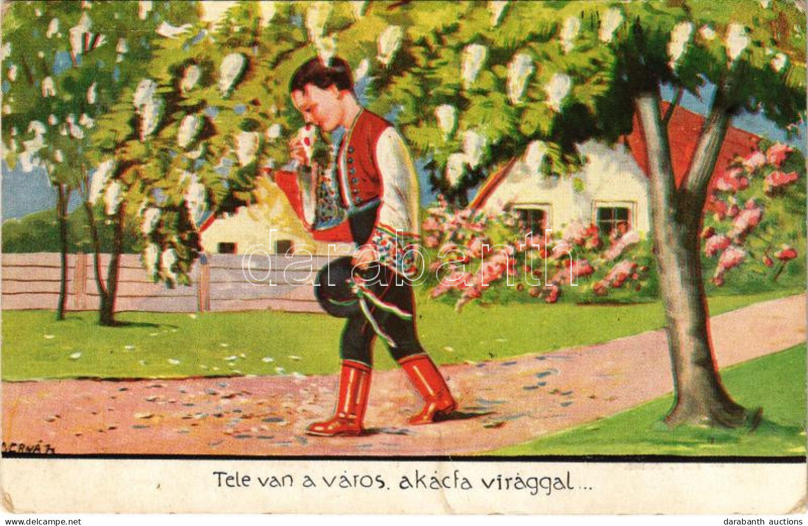 * T3 Tele Van A Város Akácfa Virággal... / Hungarian Folklore S: Bernáth (Rb) - Unclassified